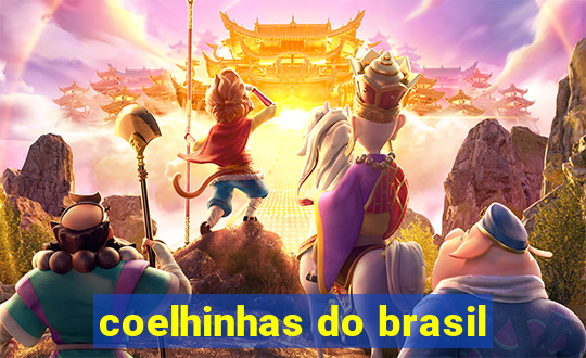 coelhinhas do brasil